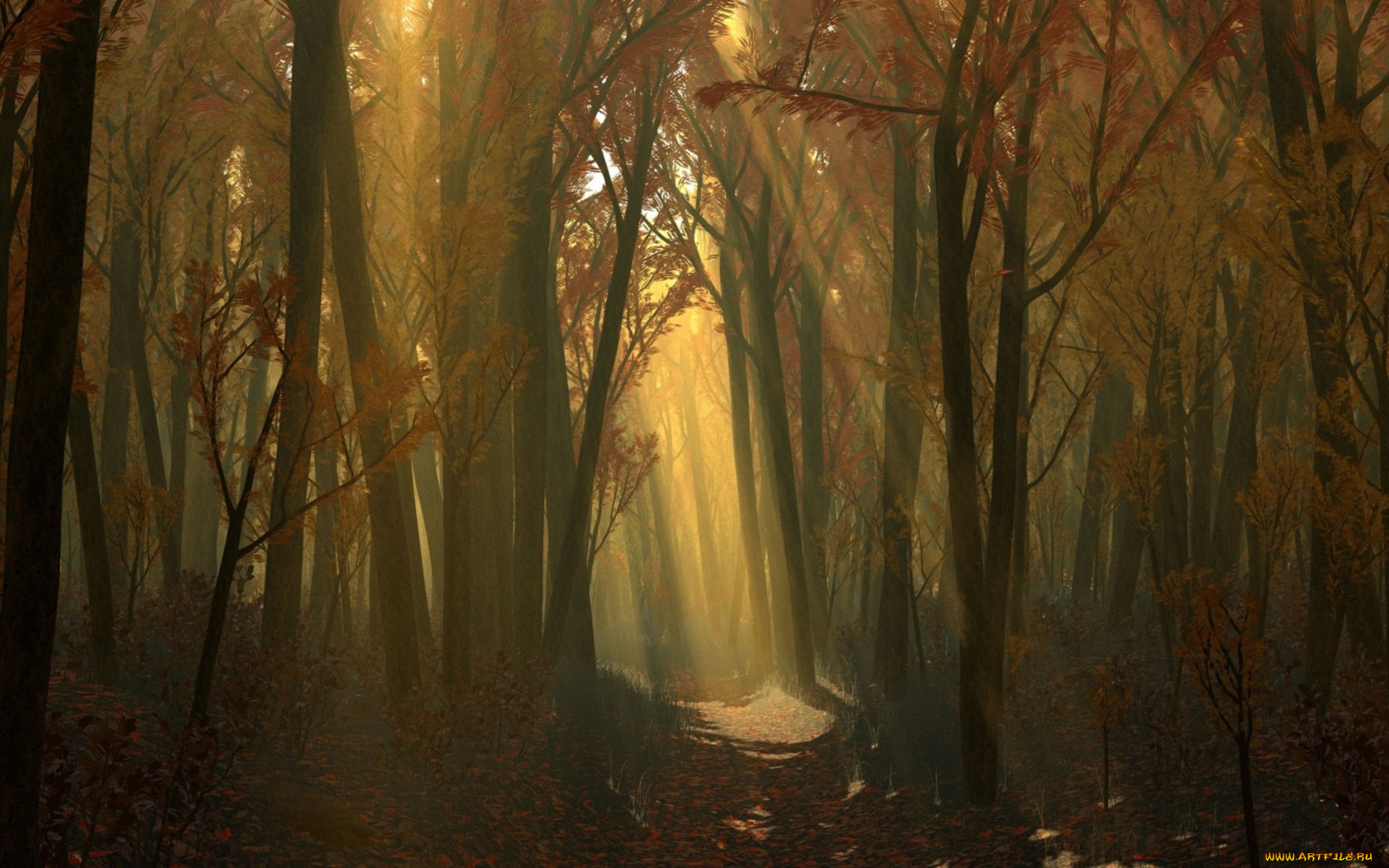 3, , nature, landscape, 